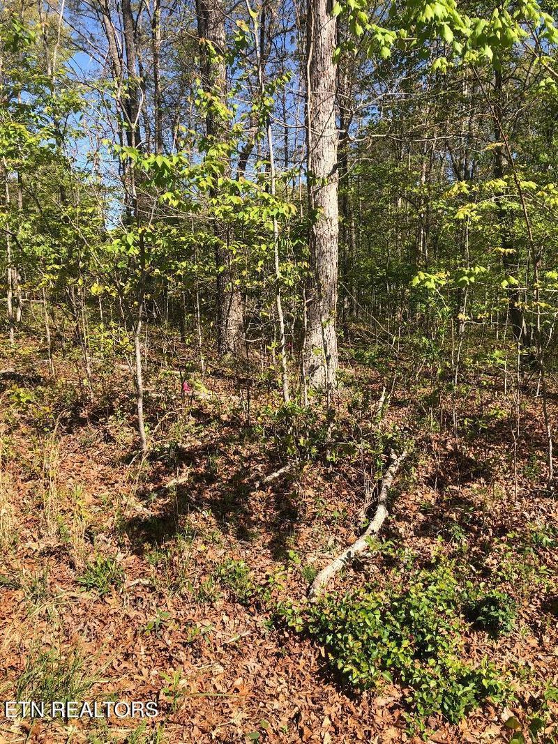 4027 Chica Rd, Crossville, TN 38572