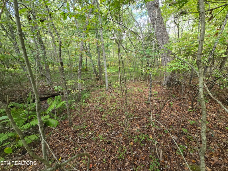 4027 Desoto Dr, Crossville, TN 38572