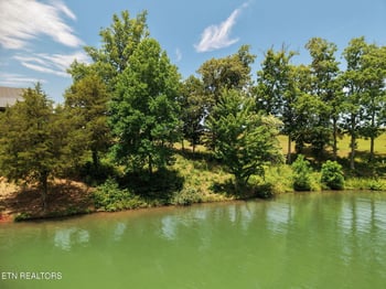 403 Careen Ct, Lenoir City, TN 37772