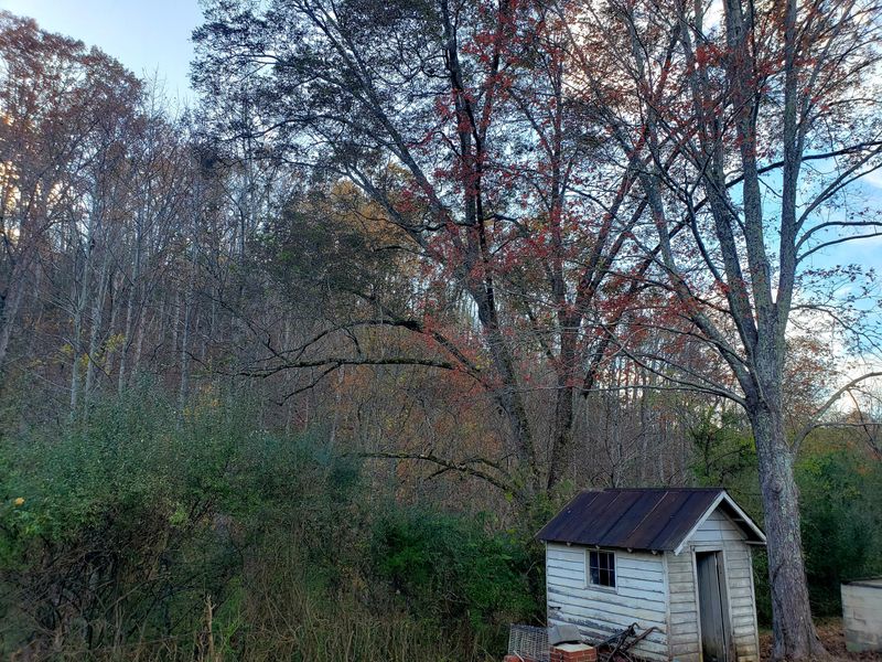 4037 Calderwood Hwy, Maryville, TN 37801