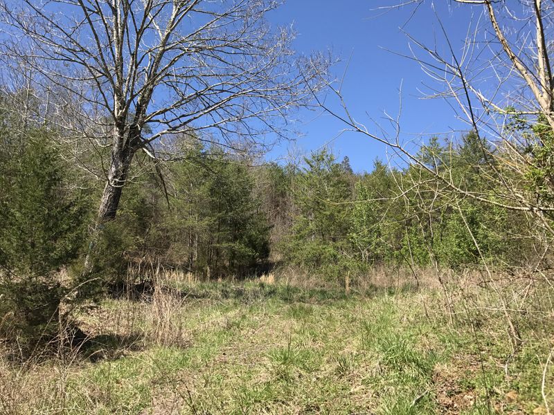4048 Allegheny Loop Rd, Maryville, TN 37803