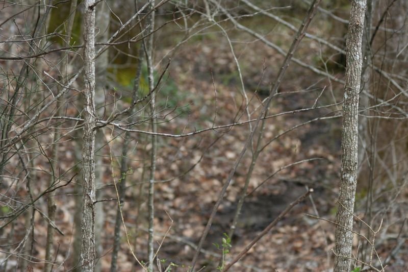 405 Chetola Tr, Townsend, TN 37882