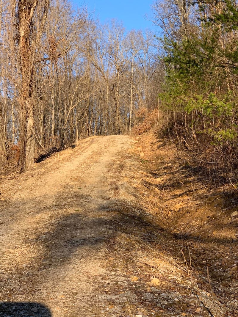 405 Shady Pine Ln, Newcomb, TN 37819