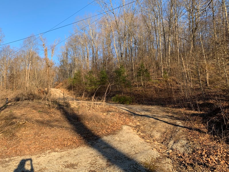 405 Shady Pine Ln, Newcomb, TN 37819