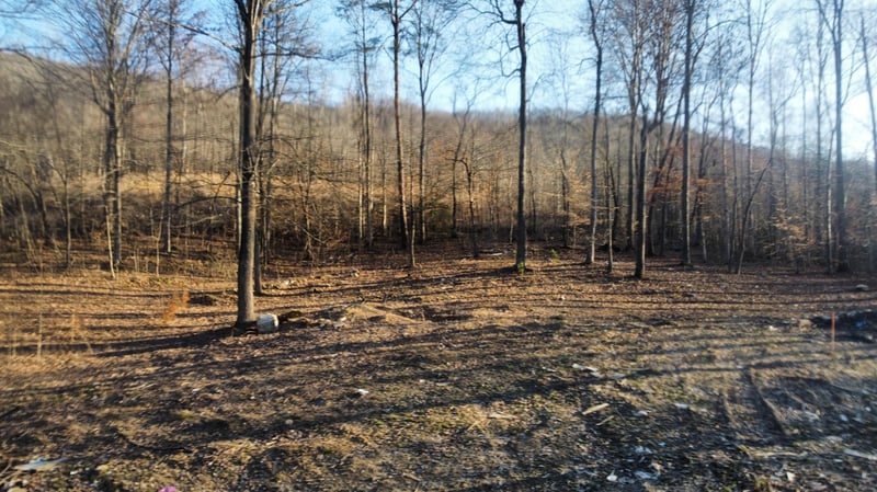 405 Shady Pine Ln, Newcomb, TN 37819