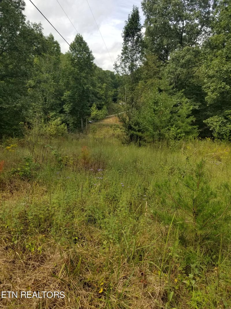 406 Chicken Bristle Rd, Robbins, TN 37852