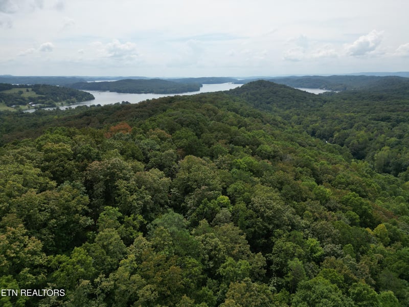 406 Edwards Ln, Rockwood, TN 37854