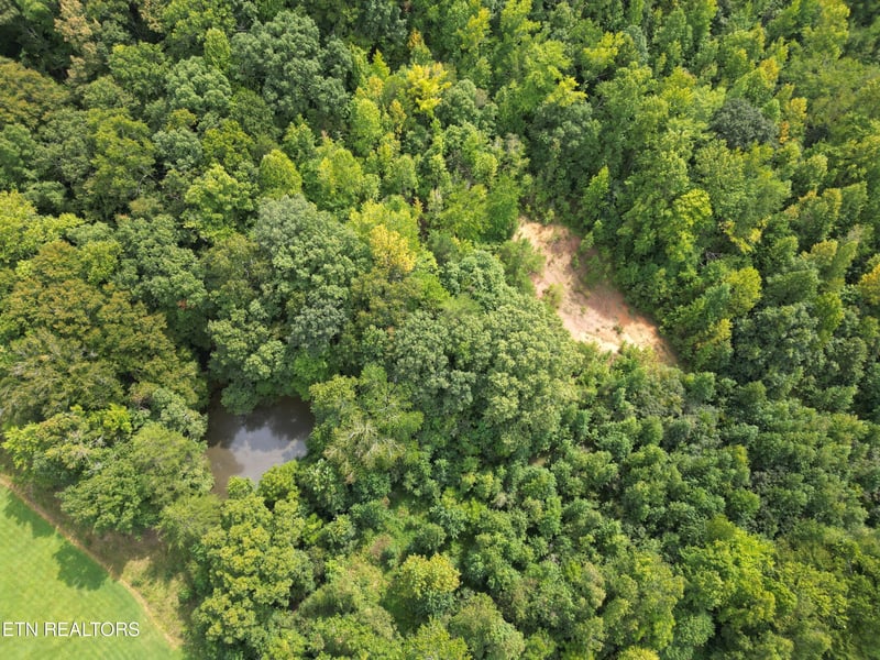 406 Edwards Ln, Rockwood, TN 37854