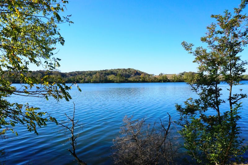 406 Lakeview Cv, Loudon, TN 37774