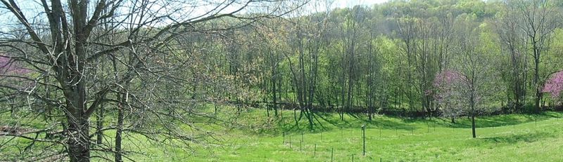 406 Winding Ridge Tr, Seymour, TN 37865