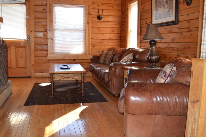 407 Big Bear Way, Pigeon Forge, TN 37863
