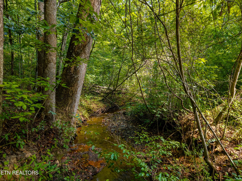 407 Chetola Tr, Townsend, TN 37882