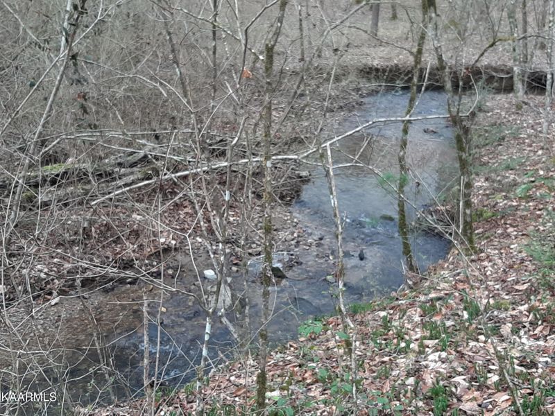 407 Chetola Trl, Townsend, TN 37882