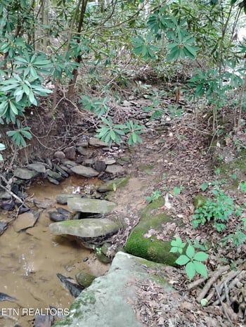 407 Ramsey Rd, Winfield, TN 37892