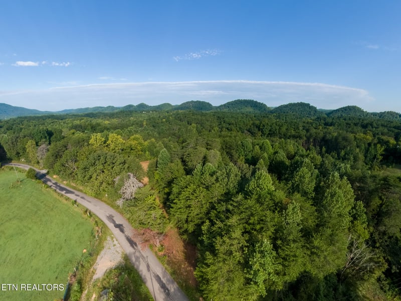 408 Shadden Rd, Tellico Plains, TN 37385