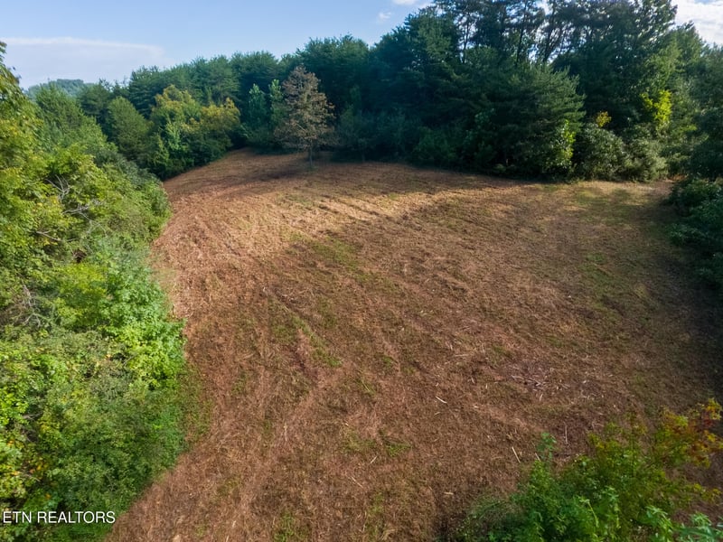 408 Shadden Rd, Tellico Plains, TN 37385