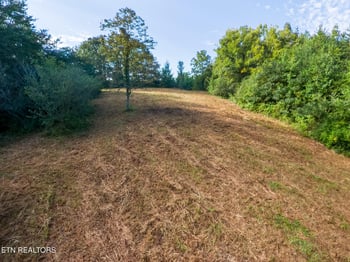 408 Shadden Rd, Tellico Plains, TN 37385