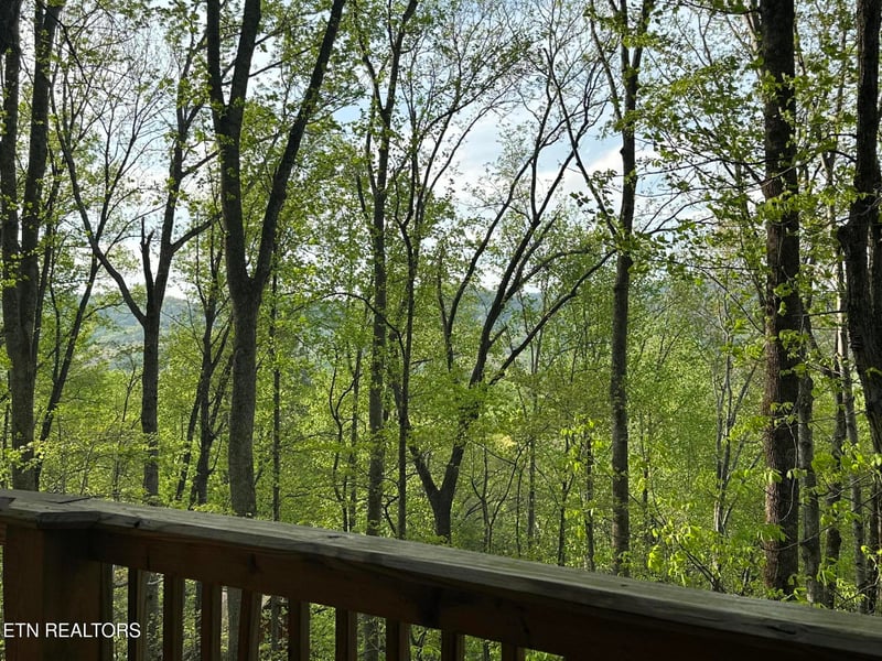 4080 Ole Smoky Way, Sevierville, TN 37862
