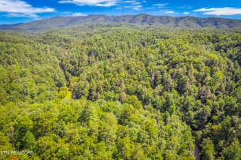 4081 Henry Town Rd, Sevierville, TN 37876