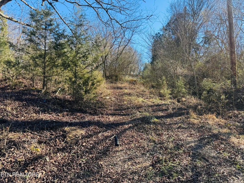 409 Carroll Hollow Rd, Clinton, TN 37716