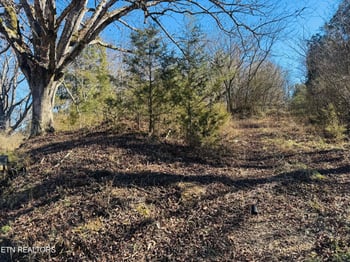 409 Carroll Hollow Rd, Clinton, TN 37716
