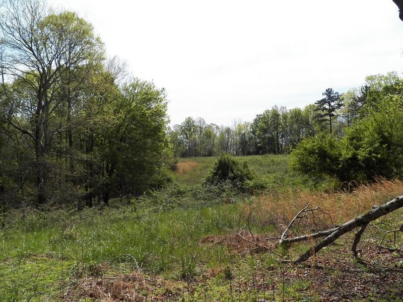 409 Cedar Grove Rd, Loudon, TN 37774