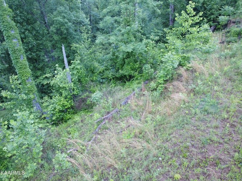 409 Loop Rd, Gatlinburg, TN 37738