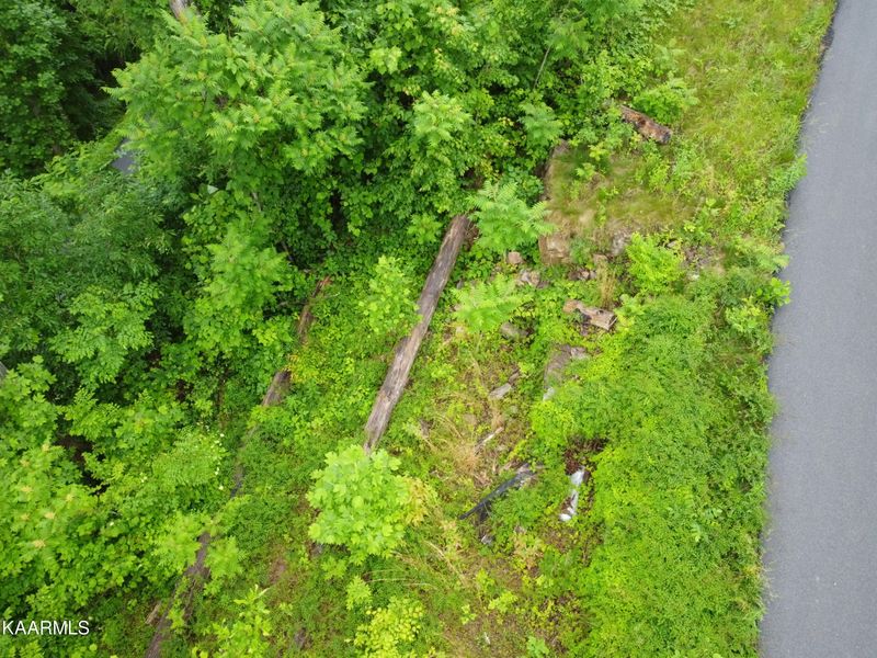 409 Loop Rd, Gatlinburg, TN 37738