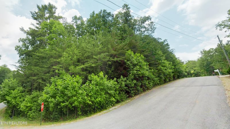 41 Chinbrook, Crossville, TN 38558