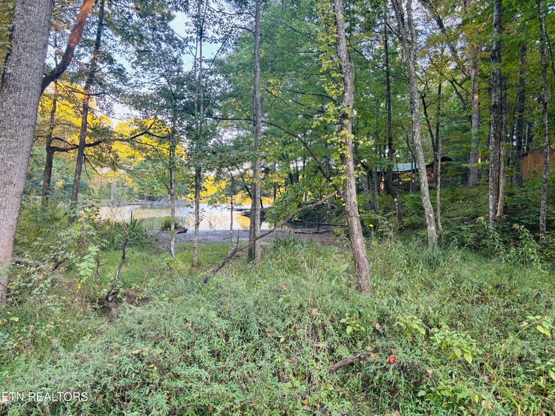 41 Diane Cir, Crossville, TN 38572