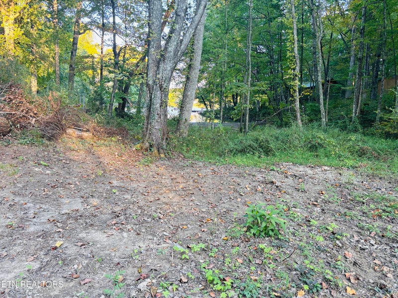41 Diane Cir, Crossville, TN 38572