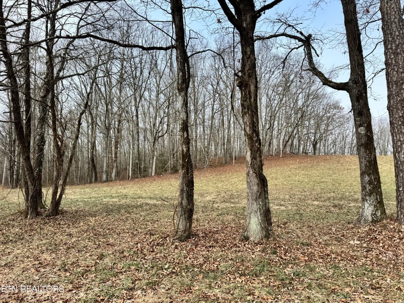 41 Smith Mountain Rd, Rockwood, TN 37854