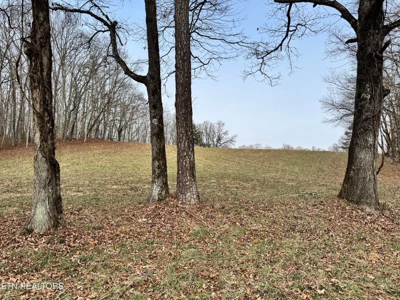 41 Smith Mountain Rd, Rockwood, TN 37854
