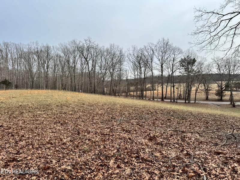 41 Smith Mountain Rd, Rockwood, TN 37854