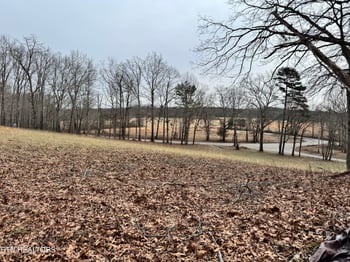 41 Smith Mountain Rd, Rockwood, TN 37854