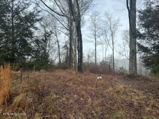 410 Leopper Rd, Harriman, TN 37748