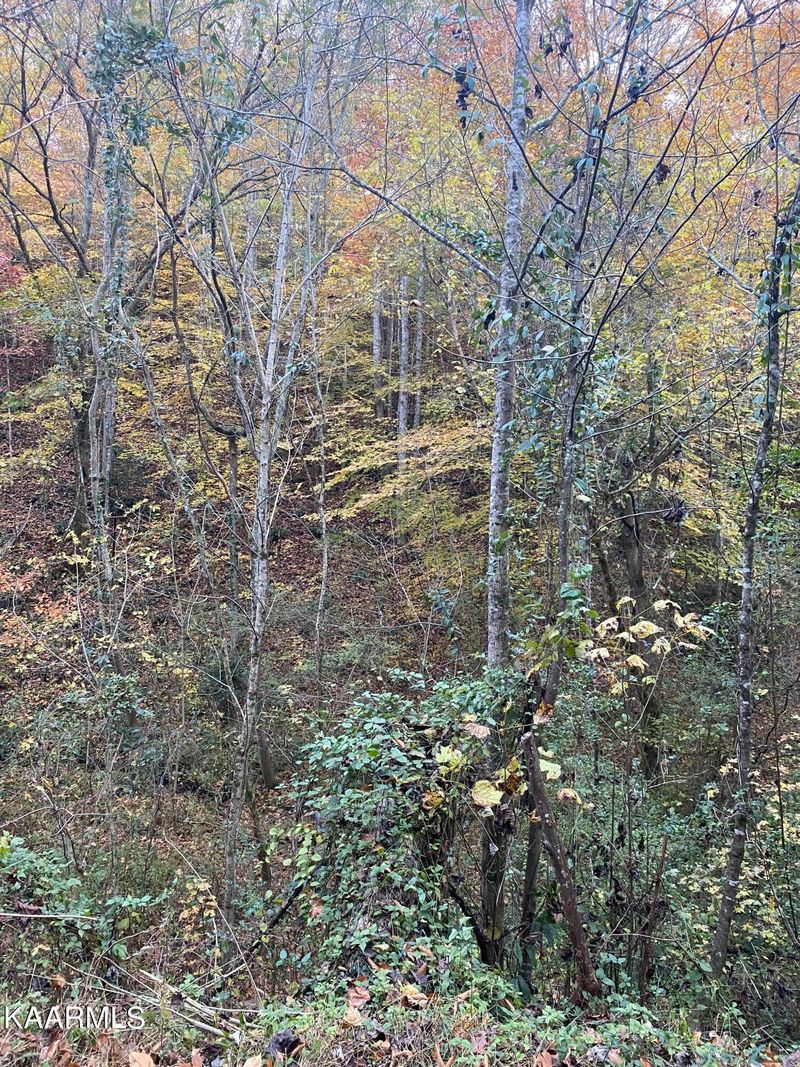 410 Trails End Rd, Walland, TN 37886