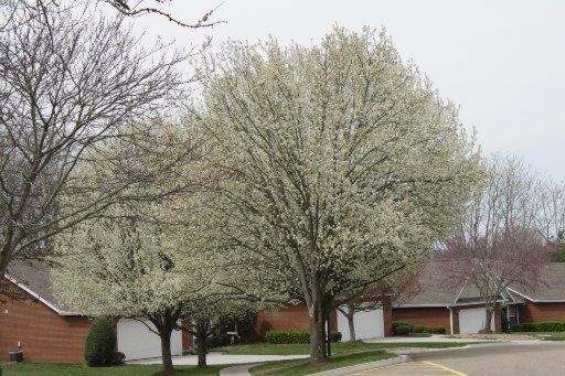 4106 Waitsfield Way, Knoxville, TN 37920