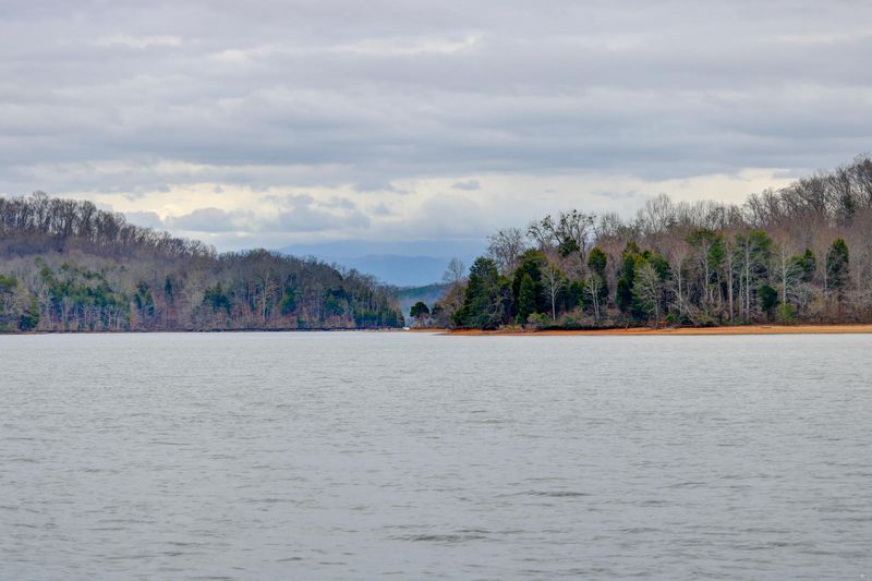 411 Tigitsi Cir, Loudon, TN 37774
