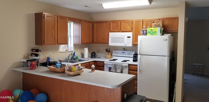 412 Dorminey Dr, Pigeon Forge, TN 37863