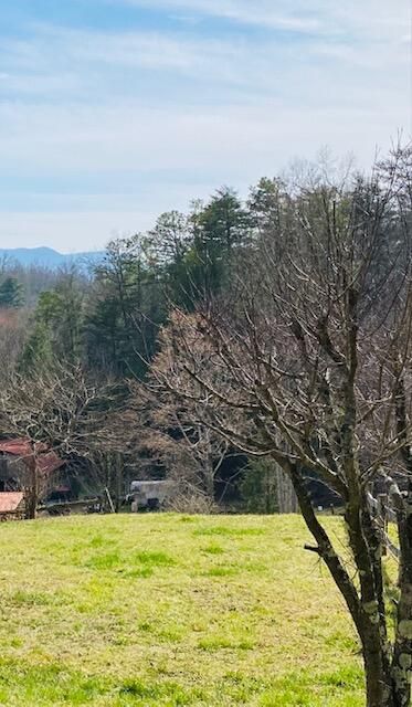 412 Turkey Creek Rd, Tellico Plains, TN 37385