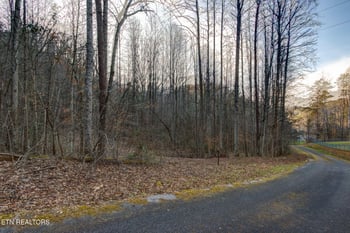 4120 Highland Rd, Cosby, TN 37722