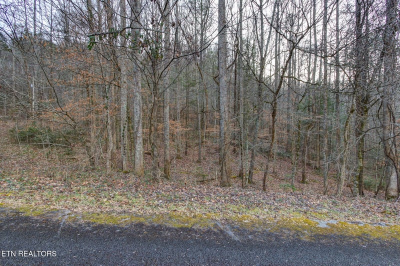 4120 Highland Rd, Cosby, TN 37722