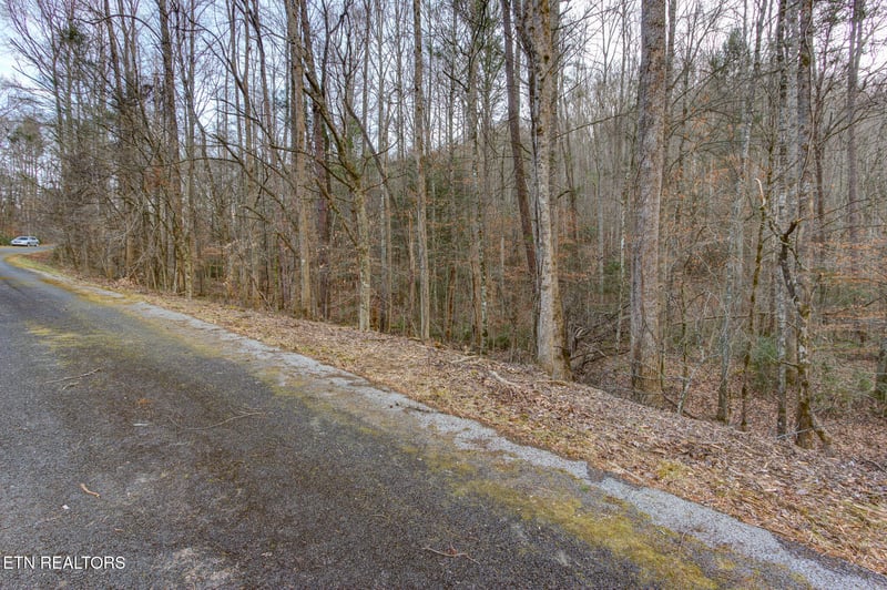 4120 Highland Rd, Cosby, TN 37722