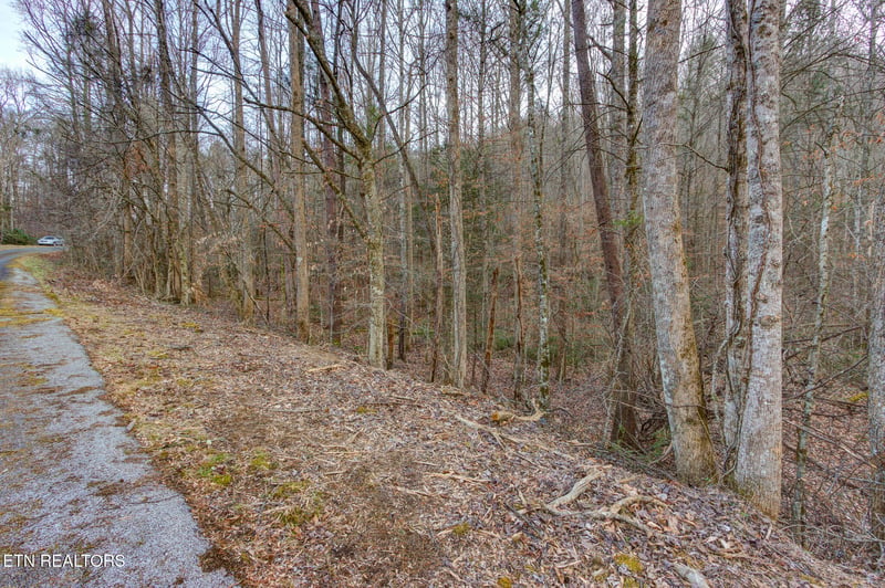 4120 Highland Rd, Cosby, TN 37722