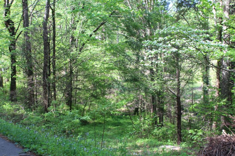 4128 Payne Hollow Rd, Walland, TN 37886
