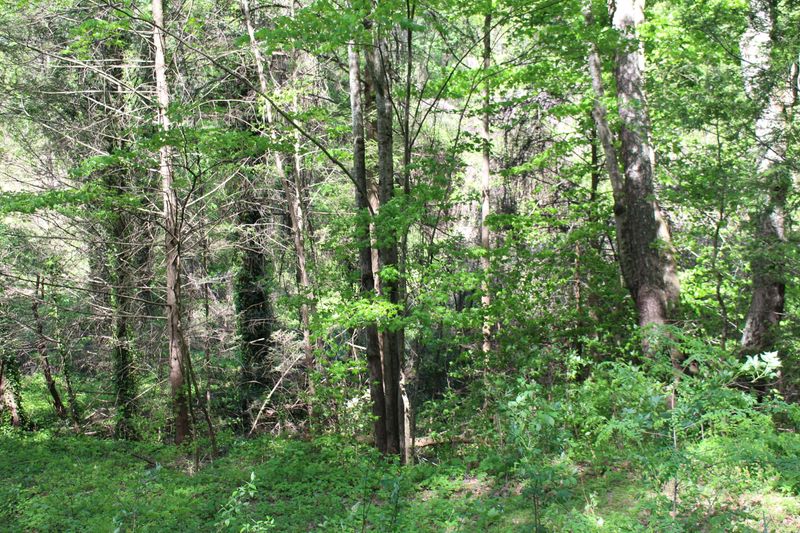 4128 Payne Hollow Rd, Walland, TN 37886