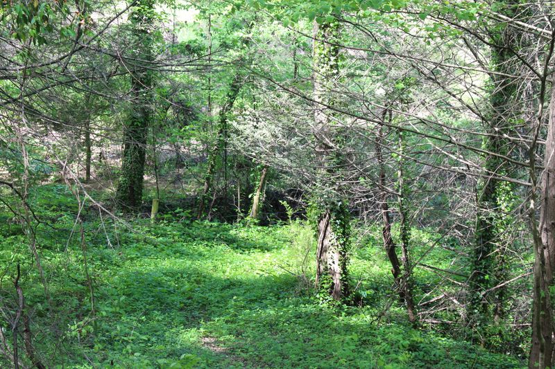 4128 Payne Hollow Rd, Walland, TN 37886