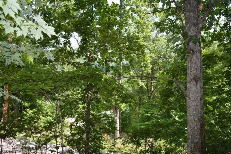 4135 Dollys Dr, Sevierville, TN 37876