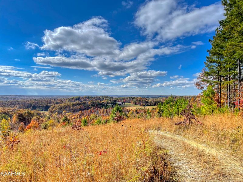 4135 Honey Creek Rd, Robbins, TN 37852
